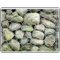 Gabion/Zinc Coated Gabion/China Munufacture Gabion